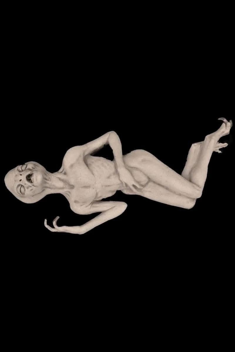 "Alien Death" Sci-Fi Prop 3 "Alien Death" Sci-Fi Prop