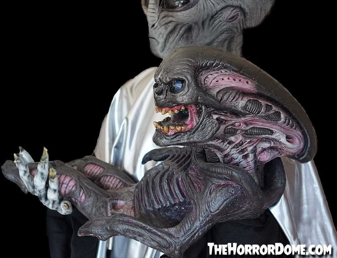 "Alien Xenomorph Puppet" HD Studios Halloween Prop 4 "Alien Xenomorph Puppet" HD Studios Halloween Prop - Image 2
