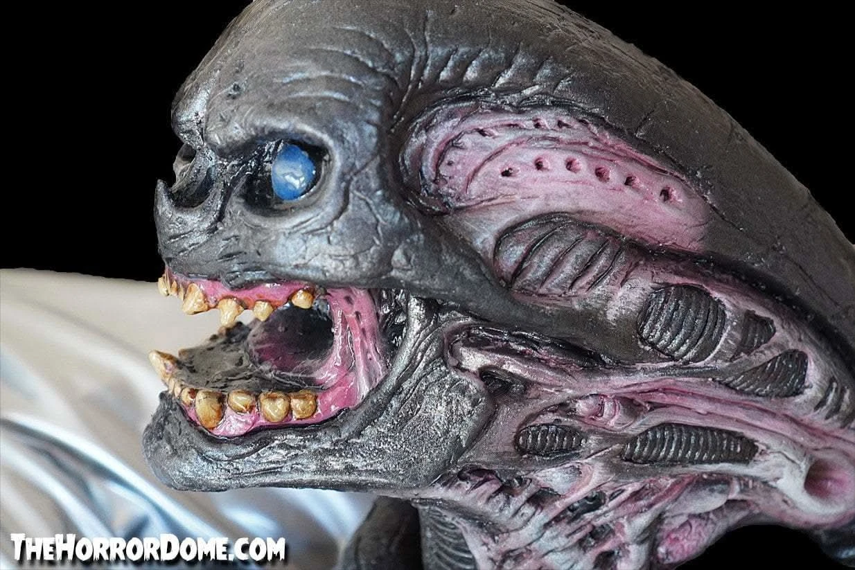 "Alien Xenomorph Puppet" HD Studios Halloween Prop 7 "Alien Xenomorph Puppet" HD Studios Halloween Prop - Image 5