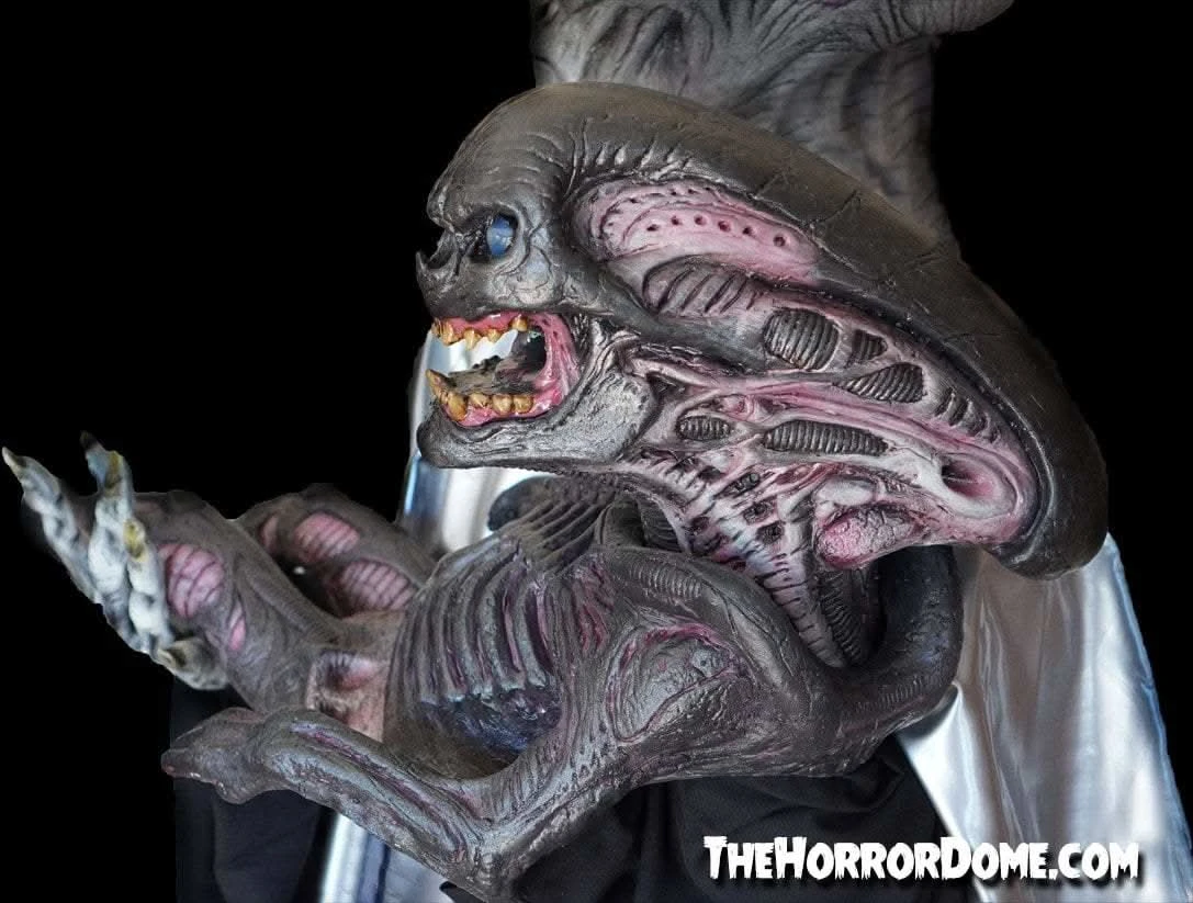 "Alien Xenomorph Puppet" HD Studios Halloween Prop 6 "Alien Xenomorph Puppet" HD Studios Halloween Prop - Image 4