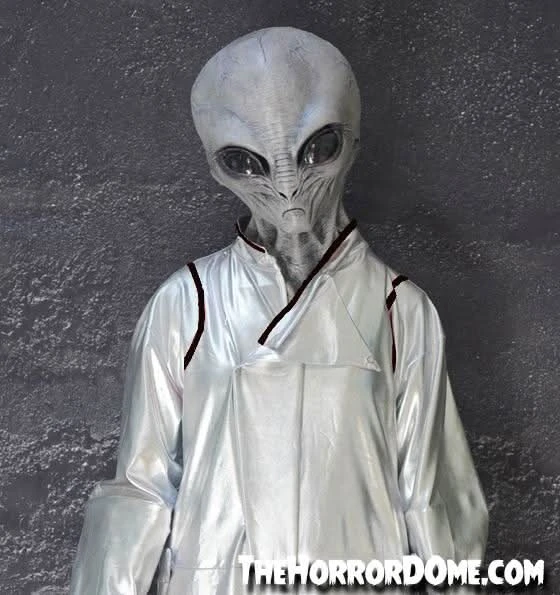 "Area 51 Alien" HD Studios Costume 5 "Area 51 Alien" HD Studios Costume - Image 3