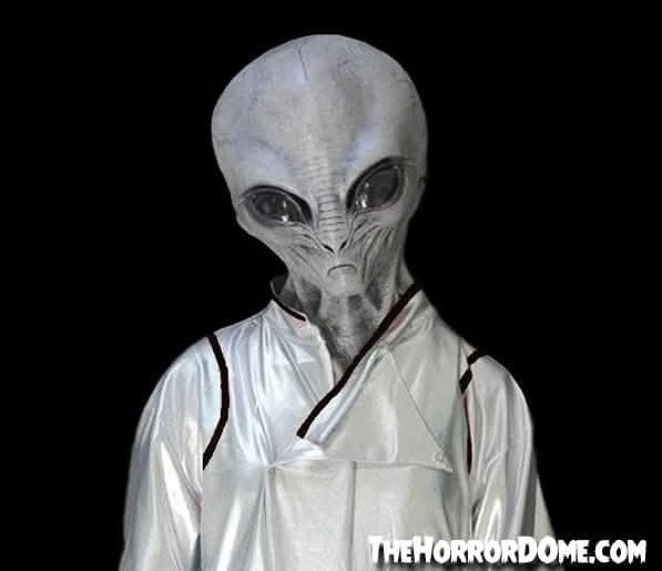 "Area 51 Alien" HD Studios Costume 4 "Area 51 Alien" HD Studios Costume - Image 2