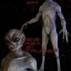 "Area 51 Intruder" Professional Alien Halloween Prop - 7 Foot Tall 1 "Area 51 Intruder" Professional Alien Halloween Prop - 7 Foot Tall -The Horror Dome Store area 51 intruder professional alien halloween prop 7 foot tall 8179847681