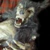 "Baby Werewolf Puppet" HD Studios Halloween Prop -The Horror Dome Store baby werewolf puppet hd studios halloween prop 14159860629552
