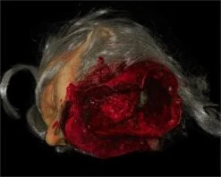 "Big Mouth Severed Head" HD Studios Bloody Halloween Prop -The Horror Dome Store big mouth severed head hd studios bloody halloween prop 8671217409