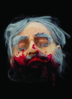 "Big Mouth Severed Head" HD Studios Bloody Halloween Prop -The Horror Dome Store big mouth severed head hd studios bloody halloween prop 8671221889