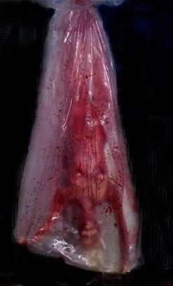 "Bloody Babe Body Bag Shaker" Halloween Animatronic