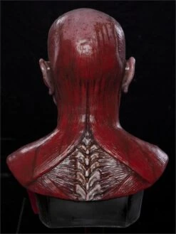 "Bloody Flayed Frank" Silicone Mask -The Horror Dome Store bloody flayed frank silicone mask 8671260225