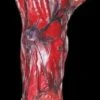 "Burnt Arm" Gory Halloween Prop -The Horror Dome Store burnt arm gory halloween prop 28670396399664