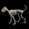 Buster Bonez Dog Skeleton Halloween Prop -The Horror Dome Store buster bonez dog skeleton halloween prop 30408506277936