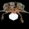 "Ceiling Fan With Skeleton Arms, Skulls, And Light" Haunted House Lighting -The Horror Dome Store ceiling fan with skeleton arms skulls and light haunted house lighting 14370661826608