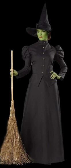 "Classic Witch" Deluxe Costume