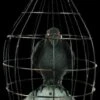 "Crow In Cage" Animated Halloween Prop -The Horror Dome Store crow in cage animated halloween prop 14325929017392
