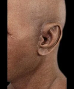 "Derek" Silicone Mask -The Horror Dome Store derek silicone halloween mask 8672072577