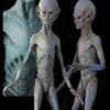 "EBE Extraterrestrial Biological Entity" Professional Alien Prop -The Horror Dome Store ebe extraterrestrial biological entity professional alien prop 8180009729