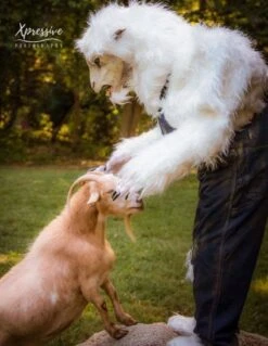 "Evil Goat Man" HD Studios Pro Costume -The Horror Dome Store evil goat man hd studios pro halloween costume 15583609258032