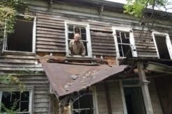 "Flesh Ripper Demon" HD Studios Pro Halloween Mask -The Horror Dome Store flesh ripper demon hd studios pro halloween mask 28756307902512