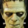 "Frankenstein" Mask -The Horror Dome Store frankenstein mask 15547005829168