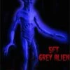 "Grey Alien" Movie-Quality Professional Prop -The Horror Dome Store grey alien movie quality professional prop 8179720129