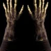 "Grim Reaper Latex Hands" Halloween Costume Gloves -The Horror Dome Store grim reaper latex hands halloween costume gloves 28741352489008