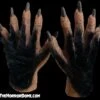 Monster Hands With Black Hair - HD Studios