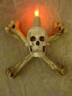 "Haunted Hallway" Haunted House Props - Package Deal -The Horror Dome Store haunted hallway haunted house props package deal 6927041232944