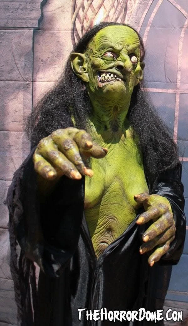 "Helga The Witch" HD Studios Pro Costume 5 "Helga The Witch" HD Studios Pro Costume - Image 3