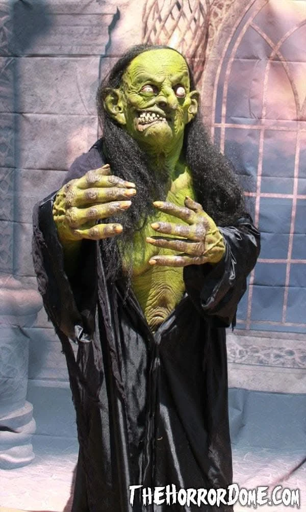 "Helga The Witch" HD Studios Pro Costume 6 "Helga The Witch" HD Studios Pro Costume - Image 4