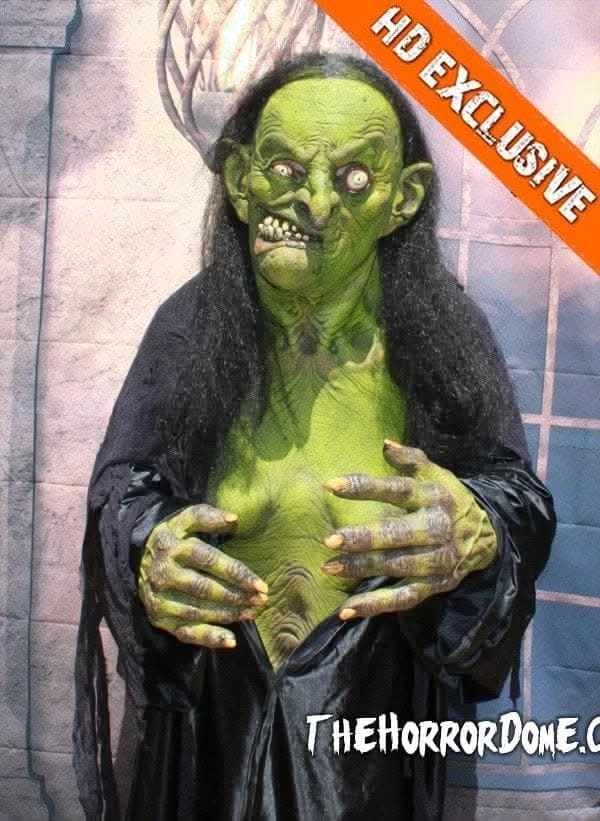 "Helga The Witch" HD Studios Pro Costume 8 "Helga The Witch" HD Studios Pro Costume - Image 6