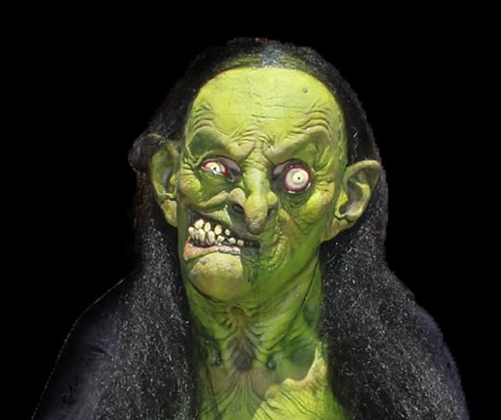 "Helga The Witch" HD Studios Pro Costume 4 "Helga The Witch" HD Studios Pro Costume - Image 2