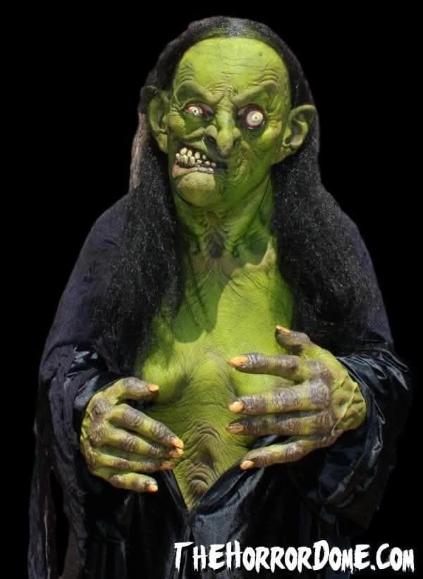 "Helga The Witch" HD Studios Pro Costume 3 "Helga The Witch" HD Studios Pro Costume