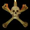 "Humerus Bone Wall Sconce With 3 Inch Skull" Haunted House Lighting -The Horror Dome Store humerus bone wall sconce with 3 inch skull haunted house lighting 14357476671536