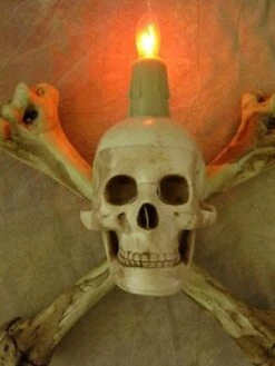 "Humerus Bone Wall Sconce With 3 Inch Skull" Haunted House Lighting -The Horror Dome Store humerus bone wall sconce with 3 inch skull haunted house lighting 23613182977