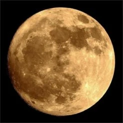 "i-Zombie Moon" Haunted House Lighting