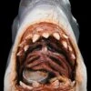 "Jaws - Bruce The Shark" Mask -The Horror Dome Store jaws bruce the shark movie halloween mask 14144900661296