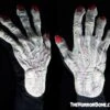 "Killer Clown Hands" HD Studios Comfort Fit Hands 2 "Killer Clown Hands" HD Studios Comfort Fit Hands -The Horror Dome Store killer clown hands hd studios comfort fit hands 28752417751088