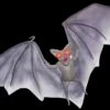 "Light Up Demon Bat" Halloween Animal Prop -The Horror Dome Store light up demon bat halloween animal prop 14325922594864
