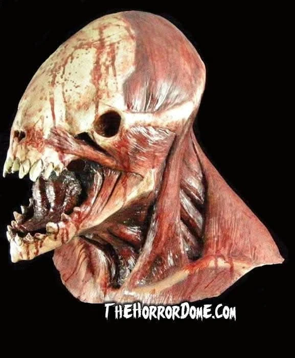 "Meathead Monster" HD Studios Pro Mask 4 "Meathead Monster" HD Studios Pro Mask - Image 2