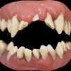 Monster Teeth -The Horror Dome Store monster teeth 14161068163120