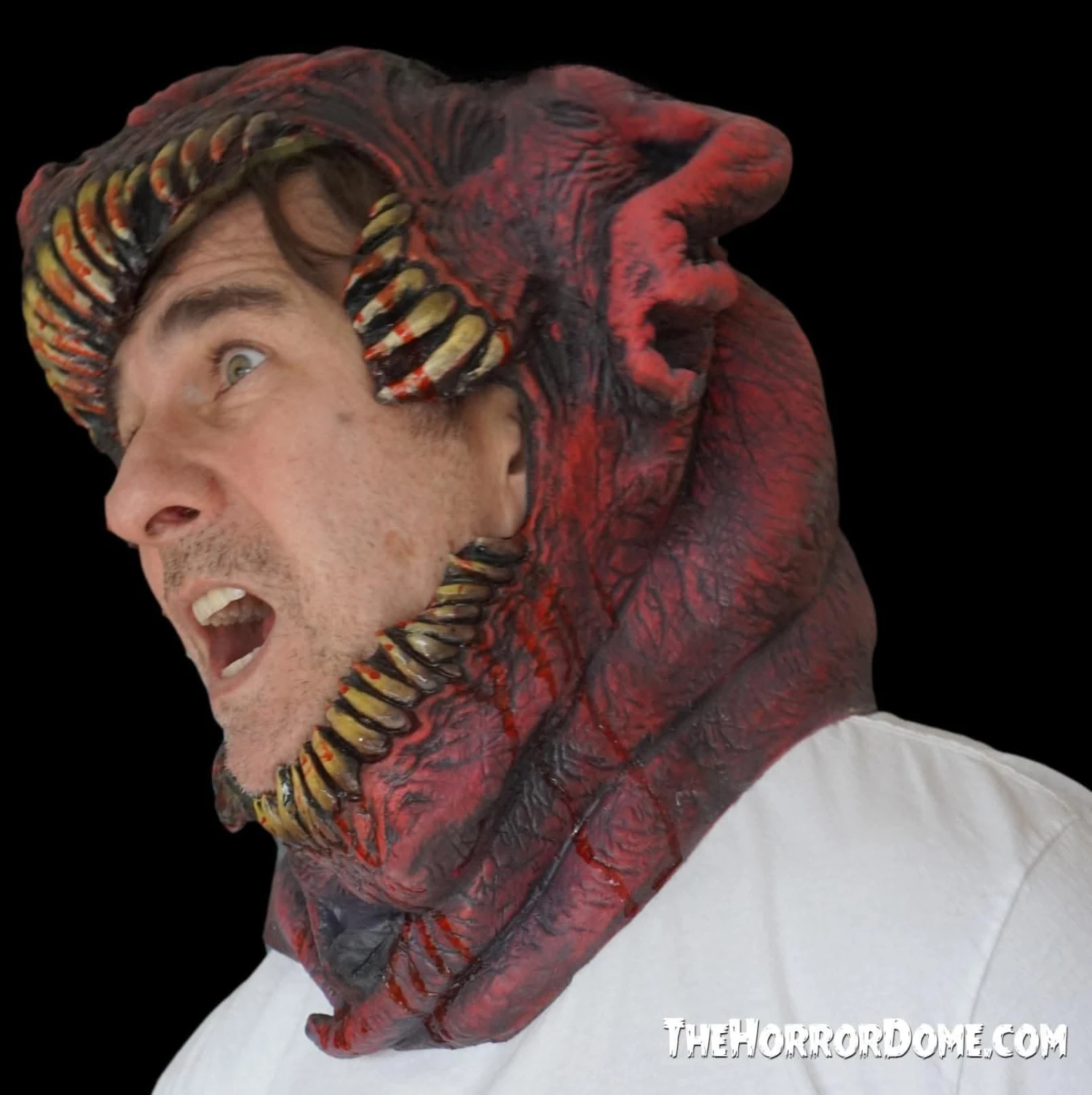 " The Head Chomper" HD Studios Pro Mask 7 " The Head Chomper" HD Studios Pro Mask - Image 5