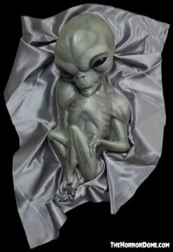 "Roswell Alien Baby Crash Victim" HD Exclusive Halloween Decoration -The Horror Dome Store new for 2022 roswell alien baby crash victim hd exclusive halloween decoration 30106370048048