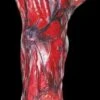 "Peeled Flesh - Left Arm" Human Body Part Halloween Prop -The Horror Dome Store peeled flesh left arm human body part halloween prop 15770118062128