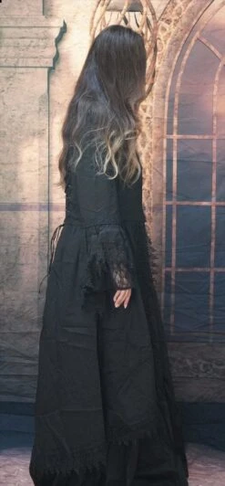 "Victorian Witch Dress" HD Studios Costume -The Horror Dome Store professional witch dress hd studios halloween costume 28885859434544