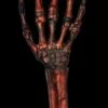 "Rotted Hand - Flesh And Bone" Human Body Part Halloween Prop