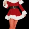 "Sexy Miss Santa - Adult Small" Costume -The Horror Dome Store sexy miss santa adult small christmas costume 14187241832496