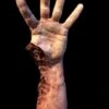 "Shark Bite Silicone Arm" Bloody Body Part Prop -The Horror Dome Store shark bite silicone arm bloody body part prop 11944225013808