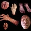 "Silicone Body Parts" Gory Halloween Props- Package Deal -The Horror Dome Store silicone body parts gory halloween props package deal 28745784852528