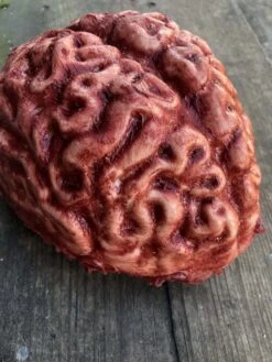 "Silicone Brain" Body Part Halloween Prop -The Horror Dome Store silicone brain body part halloween prop 28731735244848