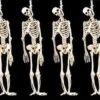 "Skeleton Halloween Props" - 6x Package Deal