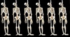 "Skeleton Halloween Props" - 6x Package Deal